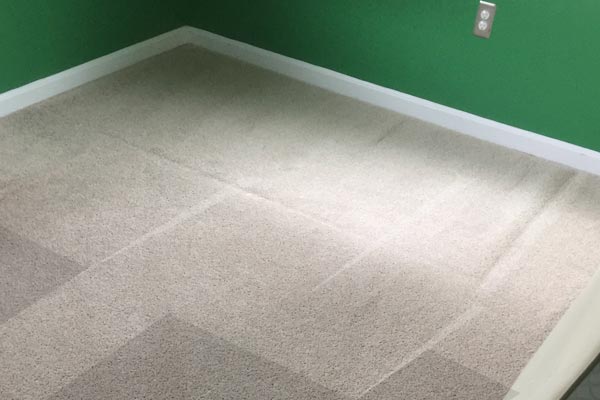 Carpet Cleaning